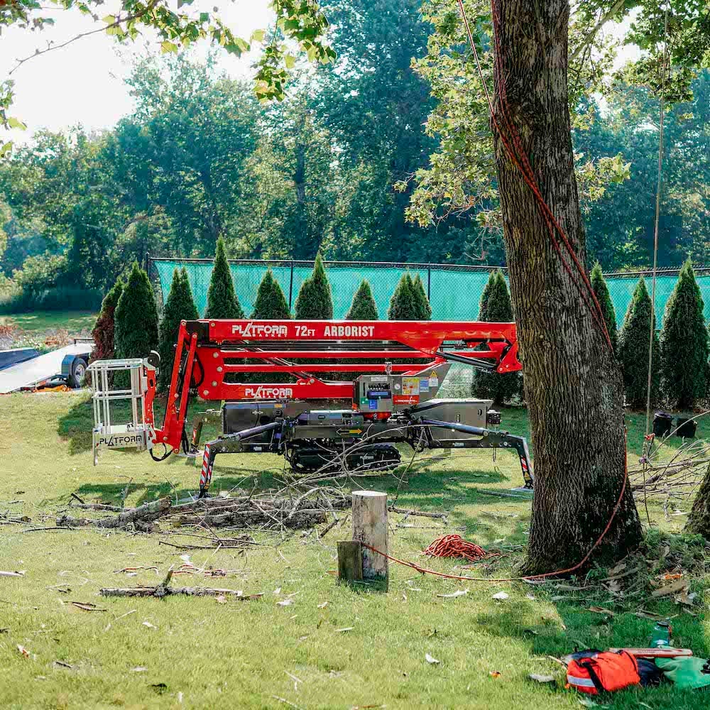 TL 22.10 Tree Services